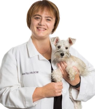 Vet of the Month - Dr. Tripp