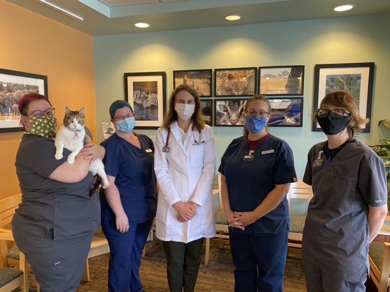 Veterinary Compounding • Axis Pharmacy Northwest