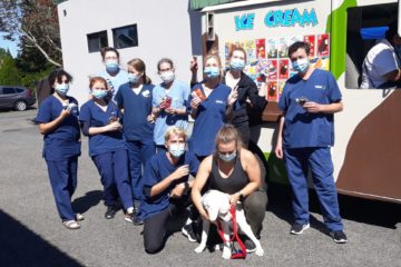 Team at VCA Crown Hill Animal Hospital